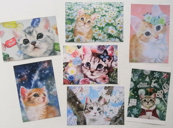 選べる猫のポストカード全19種類フルセット 3枚目の画像