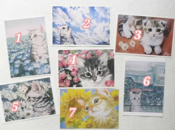 選べる猫のポストカード全19種類フルセット 5枚目の画像