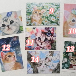 選べる猫のポストカード全19種類フルセット 6枚目の画像