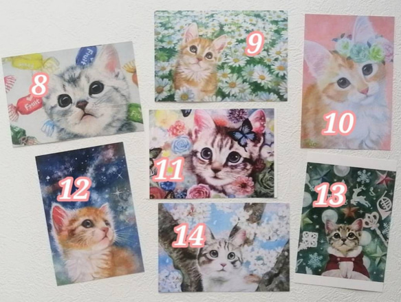 選べる猫のポストカード全19種類フルセット 6枚目の画像