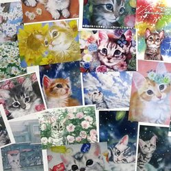 選べる猫のポストカード全19種類フルセット 1枚目の画像