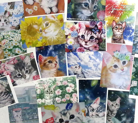 選べる猫のポストカード全19種類フルセット 1枚目の画像