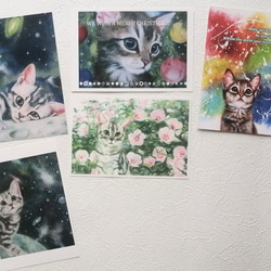 選べる猫のポストカード全19種類フルセット 4枚目の画像