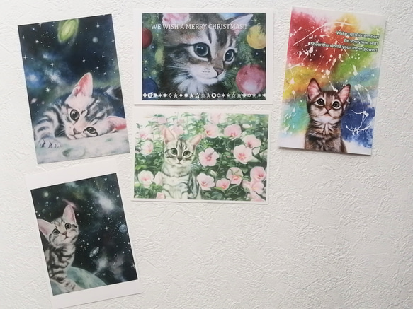 選べる猫のポストカード全19種類フルセット 4枚目の画像