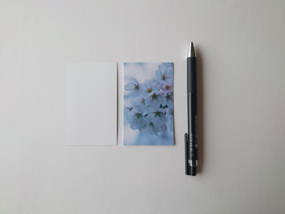 桜　メッセージカード　20枚入　バースデーカード　ミニカード　ショップカード 3枚目の画像