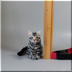 羊毛フェルト　猫　サバトラ猫さん　手のひらサイズ　サバトラ　ねこ　ネコ　猫フィギュア 10枚目の画像