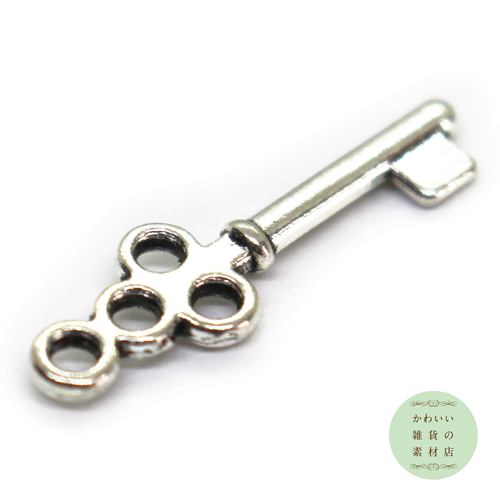 М様　シルバーチャーム　3セット e0d70041784c7d7e653790cdee4851