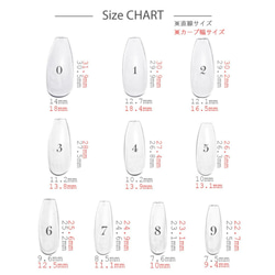 計測用チップ 4枚目の画像