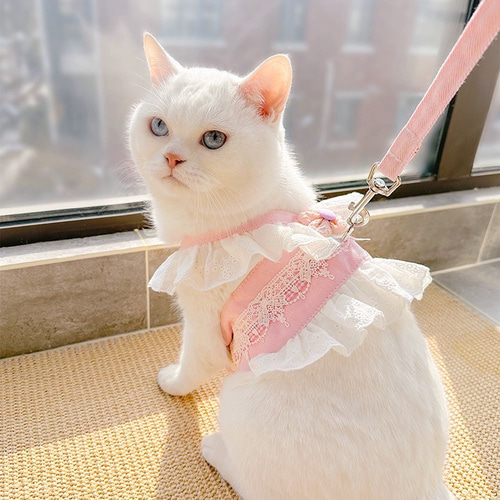 人気沸騰ブラドン 可愛い猫犬 ハーネス&リード ペット用 ニャーチャン ワンチャン 首輪・ハーネス・リード