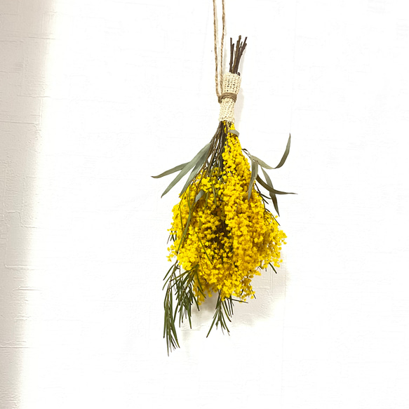 ミモザのスワッグ（約28cm） スワッグ 60の手習い 通販 17566105