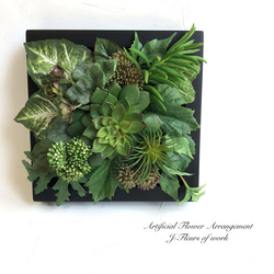 多肉植物 セダム 森村万年草 切り苗20カット 多肉植物 jt-dreams