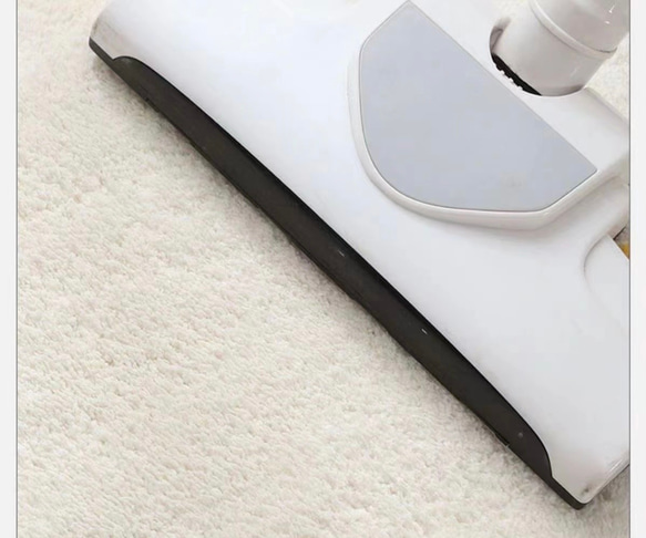 ラグ 洗える ラグマット マット ペット カーペット ホットカーペット ウォッシャブル 絨毯　トイレ用 4枚目の画像