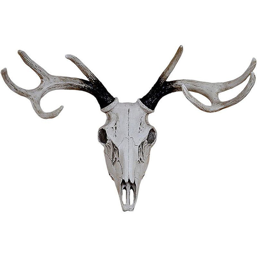 ニホンジカ　スカル ハンティングトロフィー　オブジェ　鹿の角　頭蓋骨 Amazon | シカの角鹿の角頭蓋骨付雄鹿ニホンジカハンティング