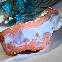 焔✧ グラフィカル　レッドアゲート スライス プレート 瑪瑙　原石 2枚目の画像