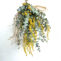 ナチュラルクリスマスリース ハーフ リース Olive + 通販 14867865