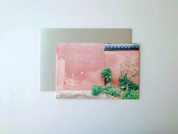 ピンク壁　グリーティングカード　ポストカード　写真　バースデー　誕生日　文字入れサービス有り 1枚目の画像