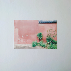 ピンク壁　グリーティングカード　ポストカード　写真　バースデー　誕生日　文字入れサービス有り 3枚目の画像