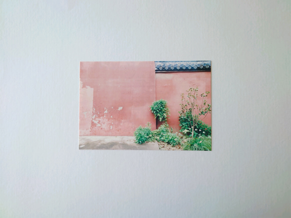 ピンク壁　グリーティングカード　ポストカード　写真　バースデー　誕生日　文字入れサービス有り 3枚目の画像