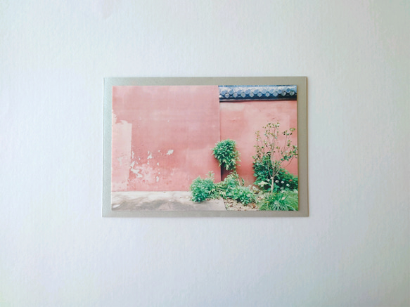 ピンク壁　グリーティングカード　ポストカード　写真　バースデー　誕生日　文字入れサービス有り 2枚目の画像