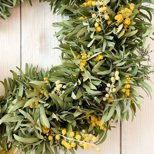 福犬様専用 ミモザ ゴールデントップ 生花 フレッシュ リース アカシア
