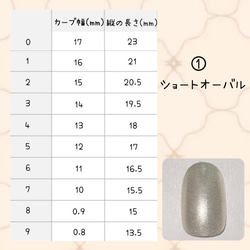 地雷量産型ネイルチップ 3枚目の画像