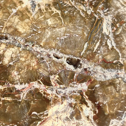 珪化木（ペトリファイドウッド）A 6枚目の画像