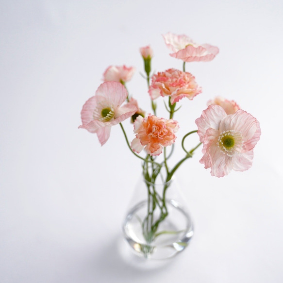 （水換え不要）ポピーとカーネーションの花瓶挿し 6枚目の画像