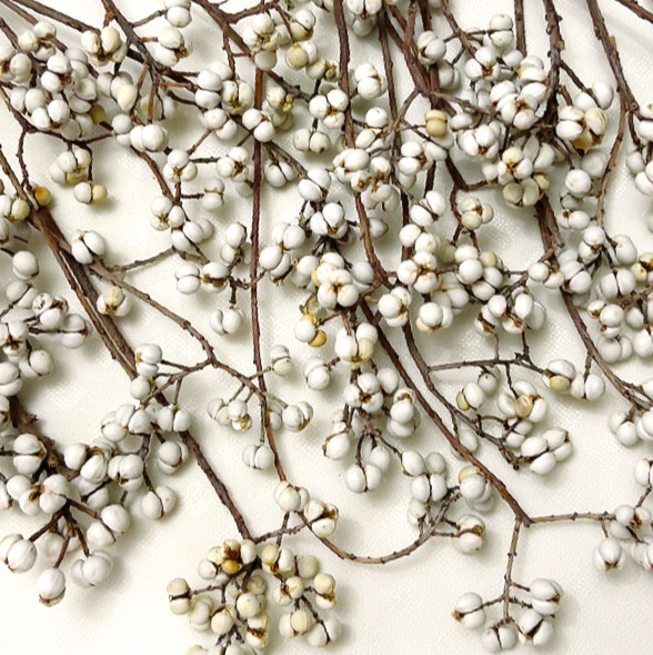 250本 hanatokito ドライフラワー ナンキンハゼ