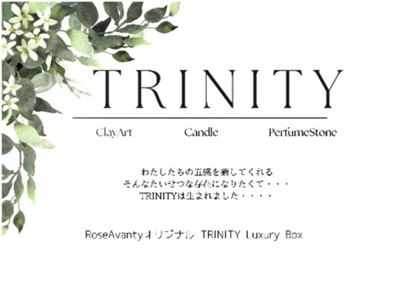 《誕生》五感を余す事なく癒す究極の癒しのラグジュアリーボックス《TRINITY》ROSE➕αセット 2枚目の画像