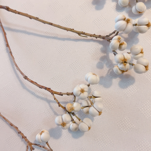 ナンキンハゼ 11〜20粒セット 20本 N-5 ドライフラワー Satsuki 通販