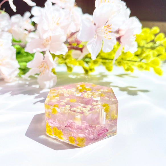 【指輪のねどこ】桜とミモザの花吹雪【限定デザイン】 6枚目の画像