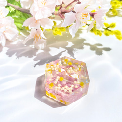 【指輪のねどこ】桜とミモザの花吹雪【限定デザイン】 2枚目の画像