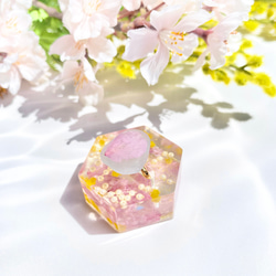 【指輪のねどこ】桜とミモザの花吹雪【限定デザイン】 3枚目の画像