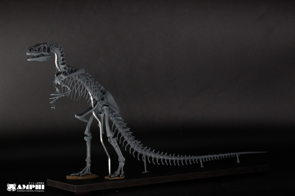 アロサウルス　縮小全身骨格レプリカ　Allosaurus 2枚目の画像