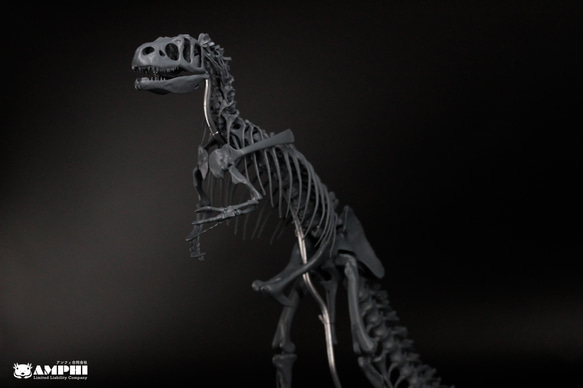 アロサウルス　縮小全身骨格レプリカ　Allosaurus 1枚目の画像