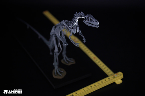 アロサウルス　縮小全身骨格レプリカ　Allosaurus 5枚目の画像