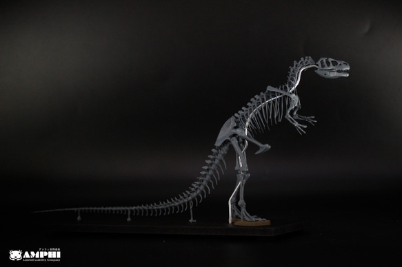 アロサウルス　縮小全身骨格レプリカ　Allosaurus 3枚目の画像