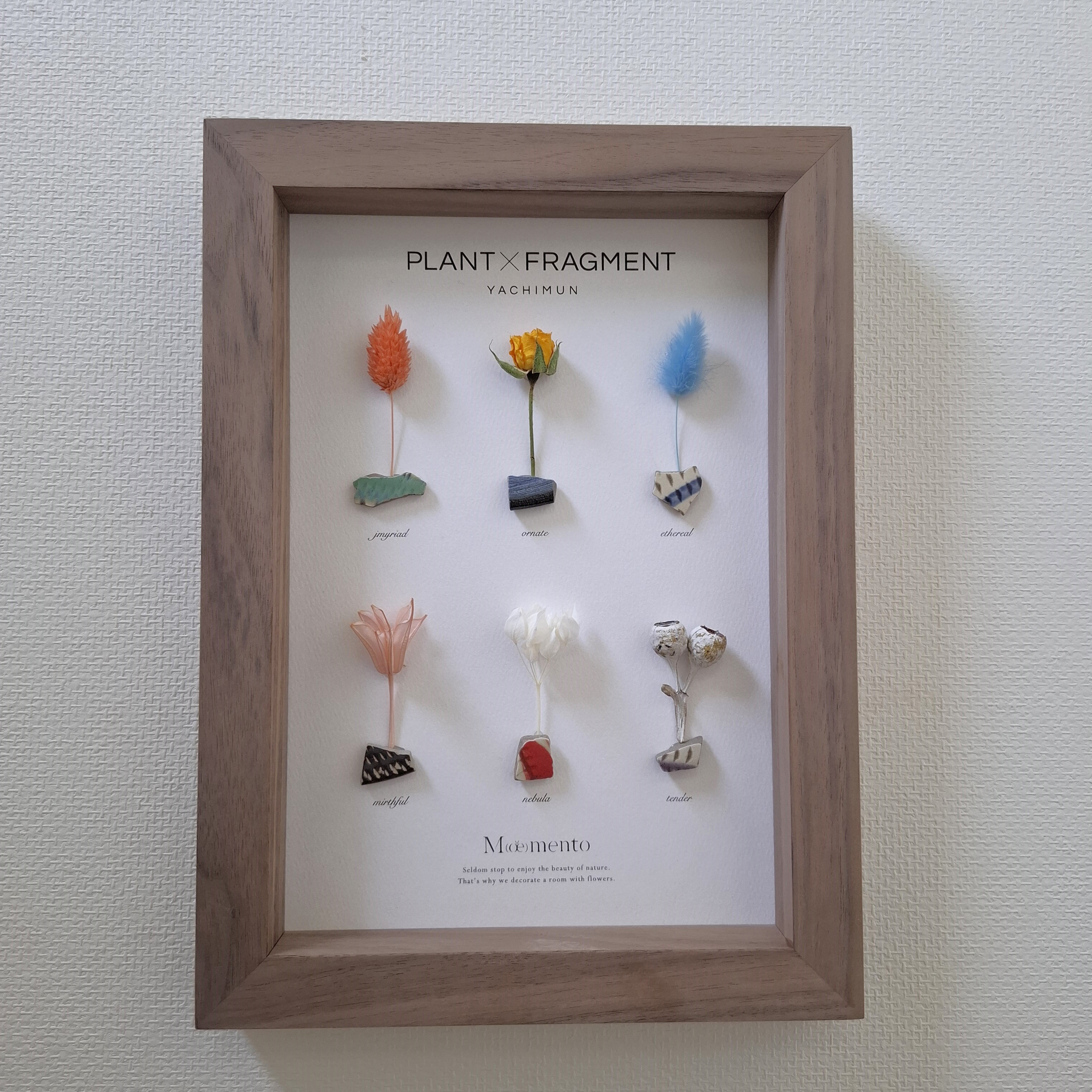 【moemento ボタニカルフレーム】 × 【やちむん】A-4