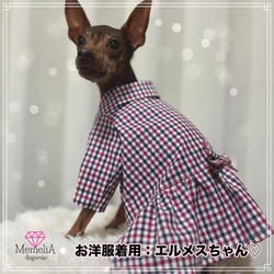 【ミニピン用犬服】トリコロールチェックがとってもオシャレ⭐︎カジュアルチェックのタック入りシャツ&ワンピース 2枚目の画像