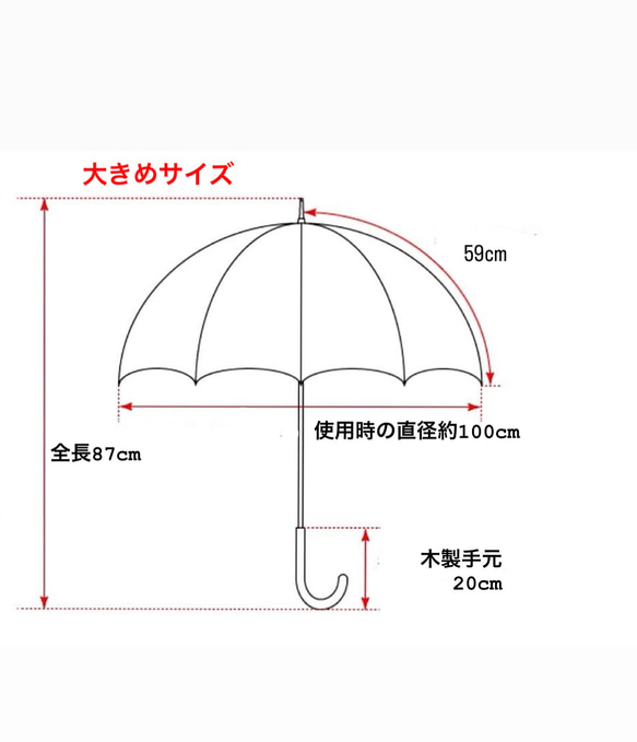  第6張的照片