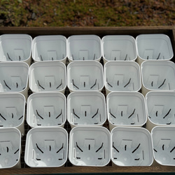 2箱セットB 多肉棚 鉢置き ウッドプランター トレー 苗 多肉植物 花 プランター ボックス 4枚目の画像