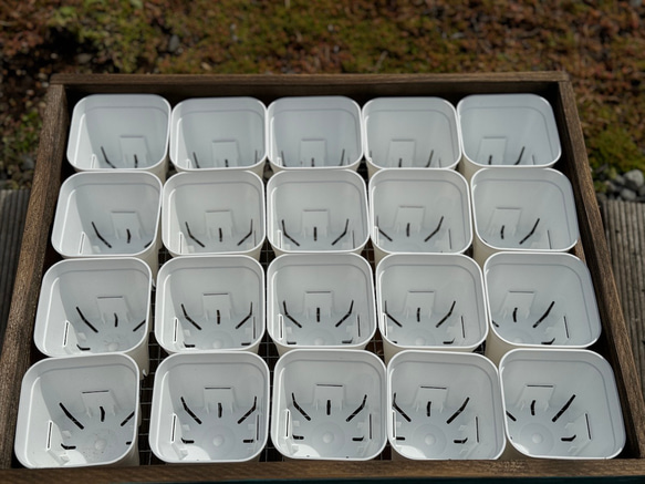 2箱セットB 多肉棚 鉢置き ウッドプランター トレー 苗 多肉植物 花 プランター ボックス 4枚目の画像