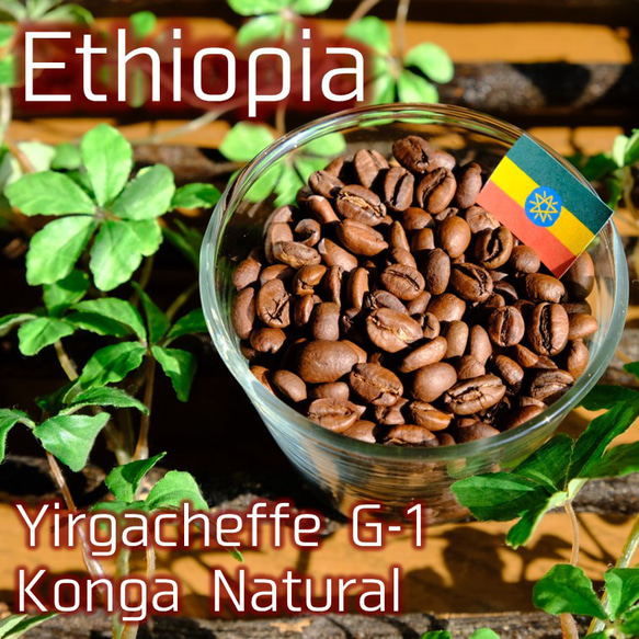 【中深煎り】 エチオピア イルガチェフェ コンガ ナチュラル 200g 1枚目の画像