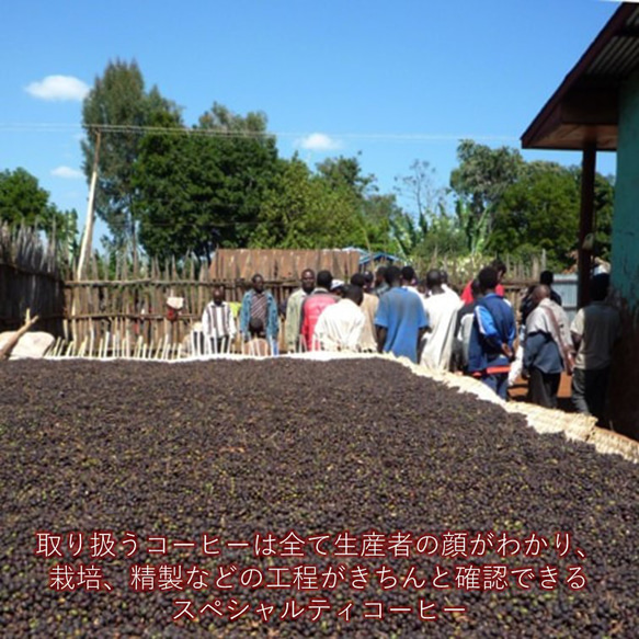 【中深煎り】 エチオピア イルガチェフェ コンガ ナチュラル 200g 2枚目の画像