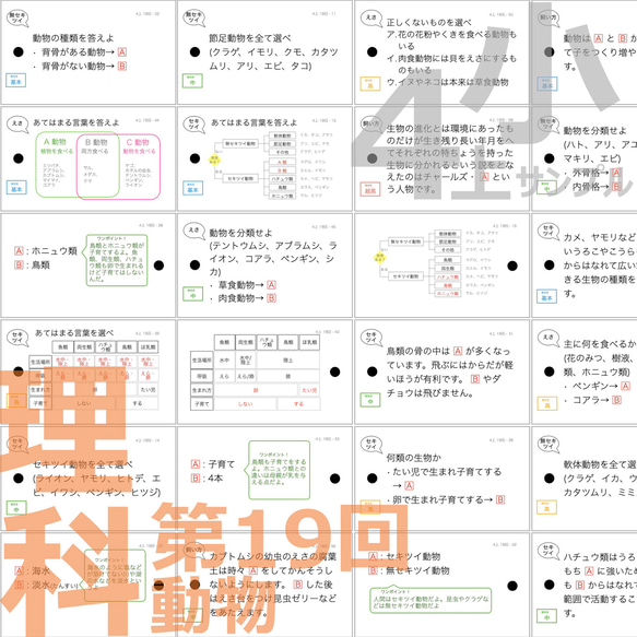 中学受験 暗記カード【4年上 理科 11-19回】組分けテスト対策 予習シリーズ 9枚目の画像