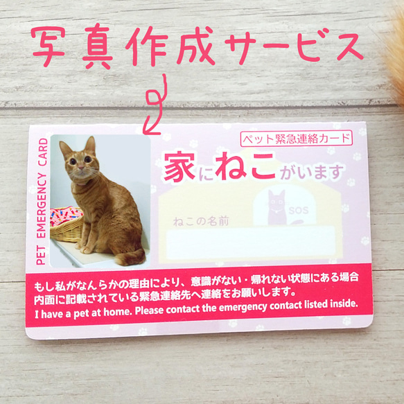 写真オーダー(緊急連絡カード用) おもちゃ・ペット小物 LunaRoom 通販 