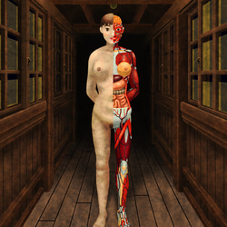 夜の人体模型:2024／ジクレー版画 3枚目の画像