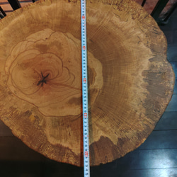 丸太の輪切りテーブル　ローテーブル 5枚目の画像