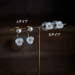 ◆白蝶貝・お花とバックキャッチのピアス◆ 2枚目の画像