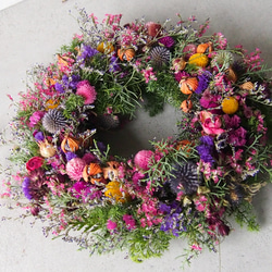 ハル様 【order】ドライフラワー リース カラフルなドライフラワーリースたち！ 人気のクレッセント🌙型